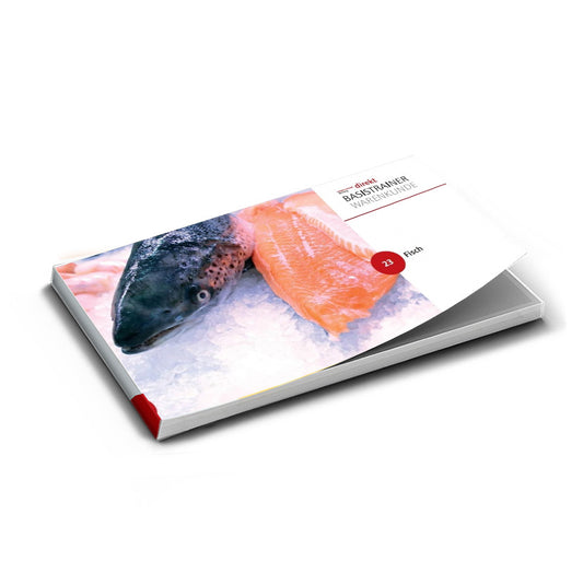 FISCH BASISTRAINER