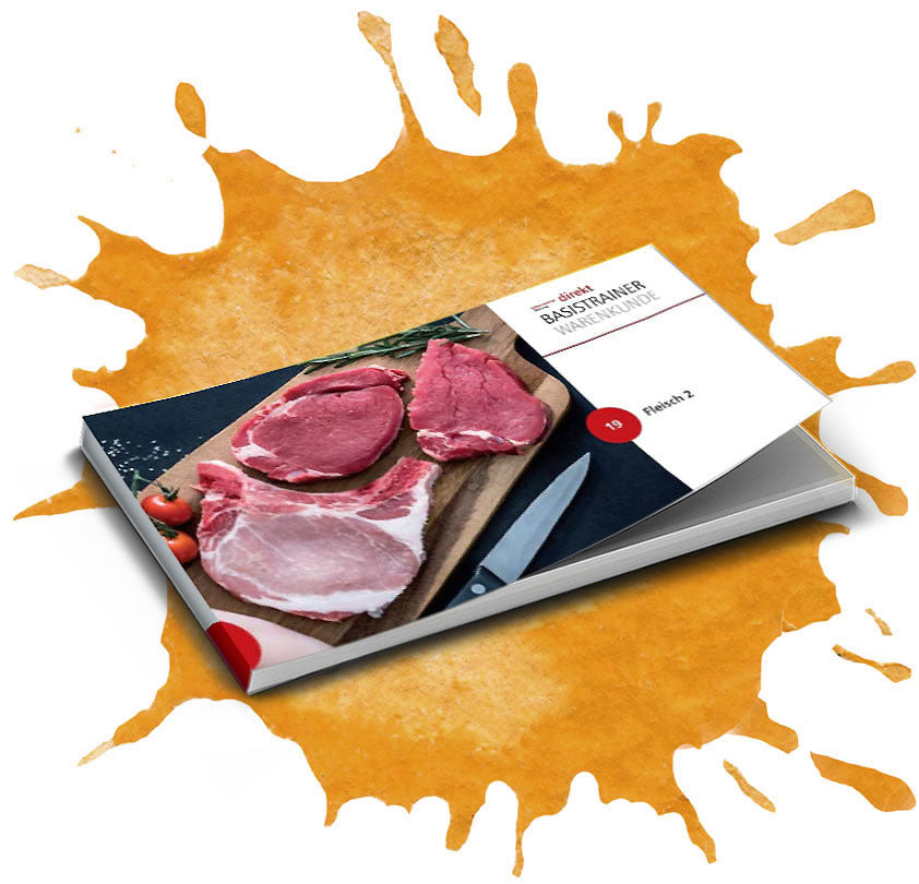 FLEISCH 2 BASISTRAINER