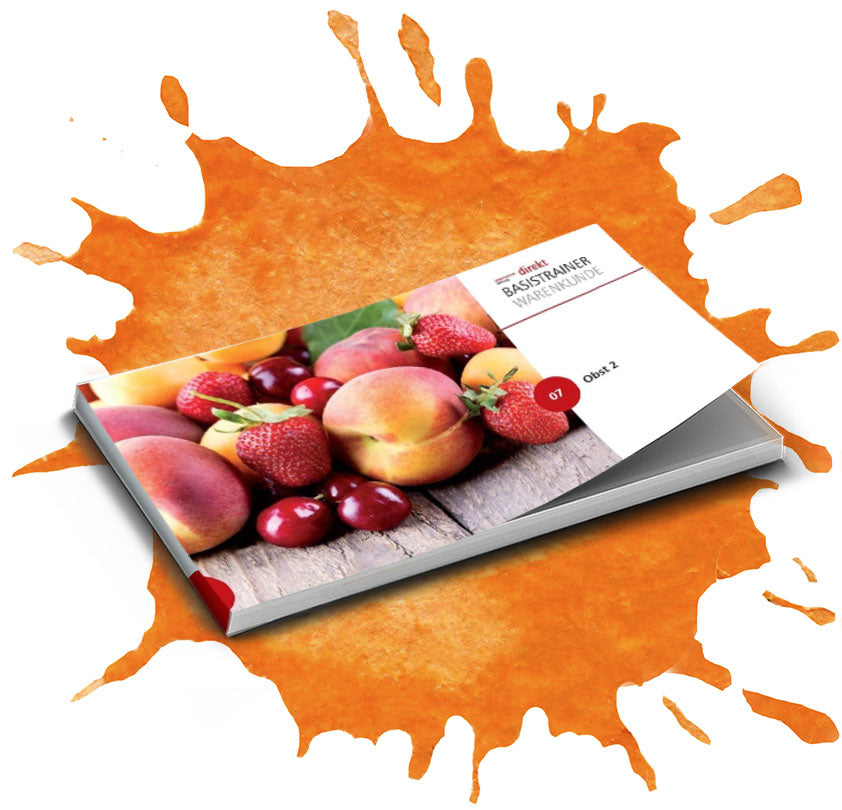 OBST 2 BASISTRAINER